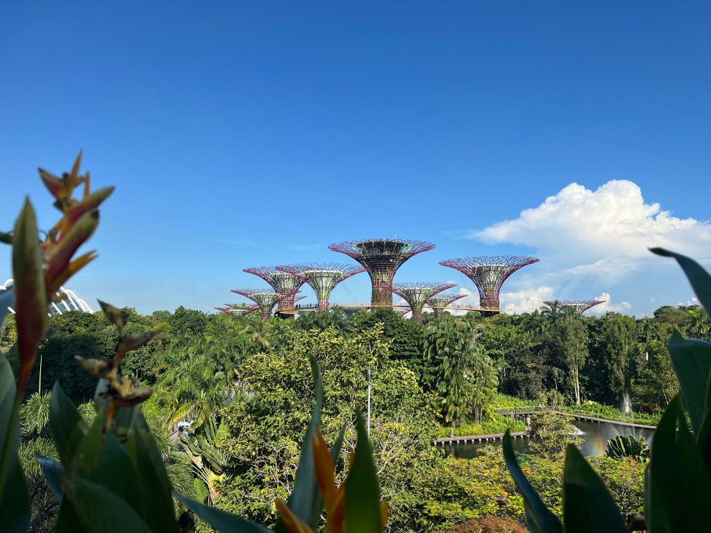 Short Yet Serendipitous: Slaying My Singapore Solo&nbsp;Travel